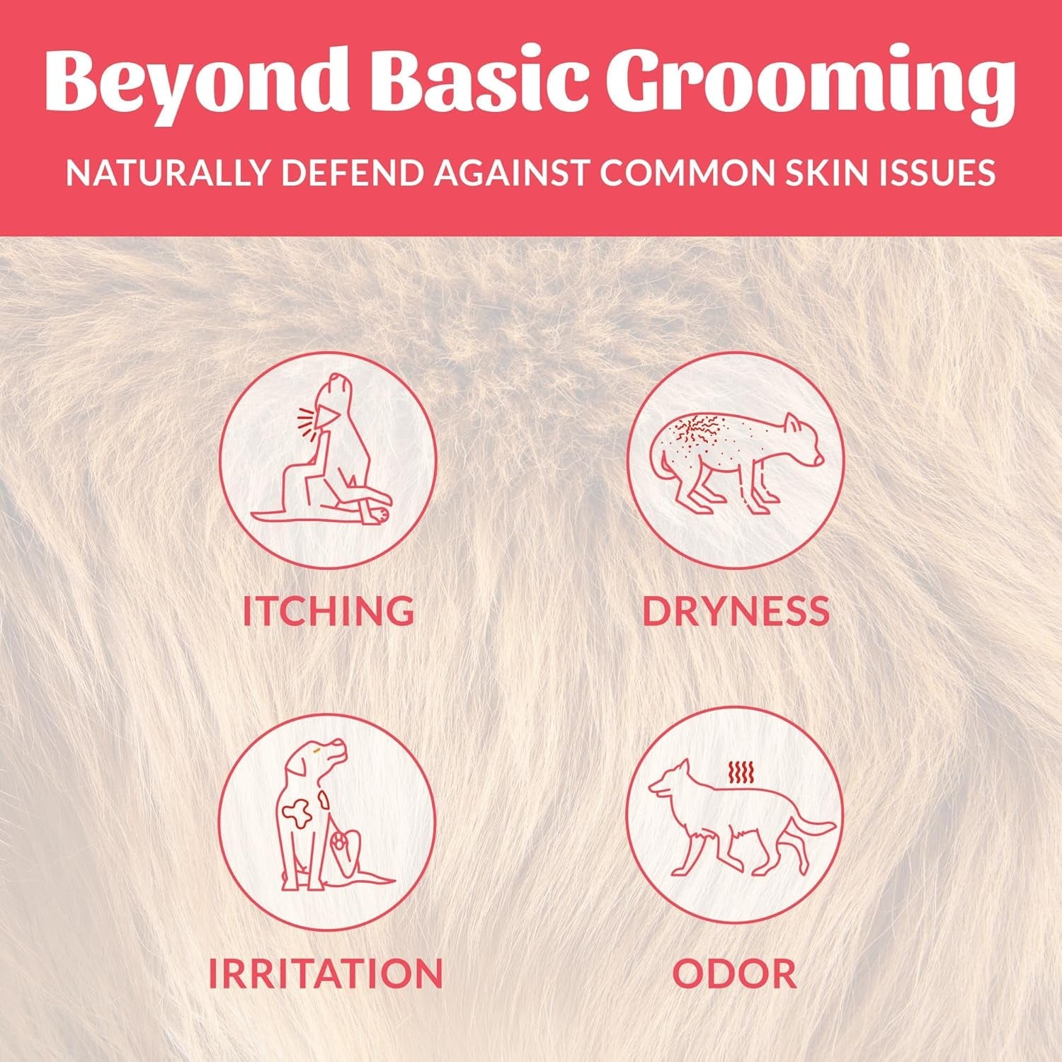 skouts-honor-probiotic-dog-deodorizing-spray-sunkissed-coconut-8-oz-hydrating-daily-use-formula-with-avocado-oil-and-omega-3s-microbiome-friendly-paraben-and-sulfate-free