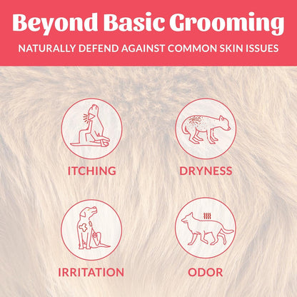 SKOUT'S HONOR Probiotic Dog Deodorizing Spray - Sunkissed Coconut, 8 Oz | Hydrating Daily-Use Formula with Avocado Oil and Omega-3S, Microbiome-Friendly, Paraben and Sulfate-Free3