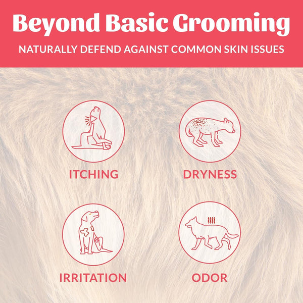 SKOUT'S HONOR Probiotic Dog Deodorizing Spray - Sunkissed Coconut, 8 Oz | Hydrating Daily-Use Formula with Avocado Oil and Omega-3S, Microbiome-Friendly, Paraben and Sulfate-Free3
