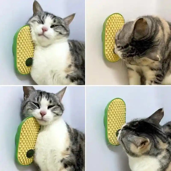 Miwoowim 2 Pcs Catnip Toys Balls That Stick on Wall,Cat Toy Ball, Catnip Wall Balls for Cats Lick,Cat Face Scratchers, Cat Self Groomer for Indoor Cats, Corner Brush3