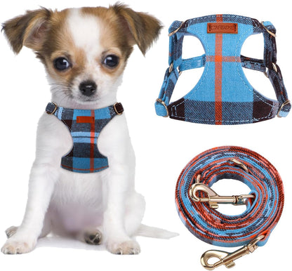 CHEDE No Pull Puppy Harness and Multifunction Dog Leash Set- 8 Colors Soft Adjustable No Choke Escape Proof Cute,Lightweight Pet Vest Harness for Small and Medium Dog…22