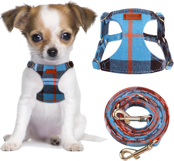 CHEDE No Pull Puppy Harness and Multifunction Dog Leash Set- 8 Colors Soft Adjustable No Choke Escape Proof Cute,Lightweight Pet Vest Harness for Small and Medium Dog…22