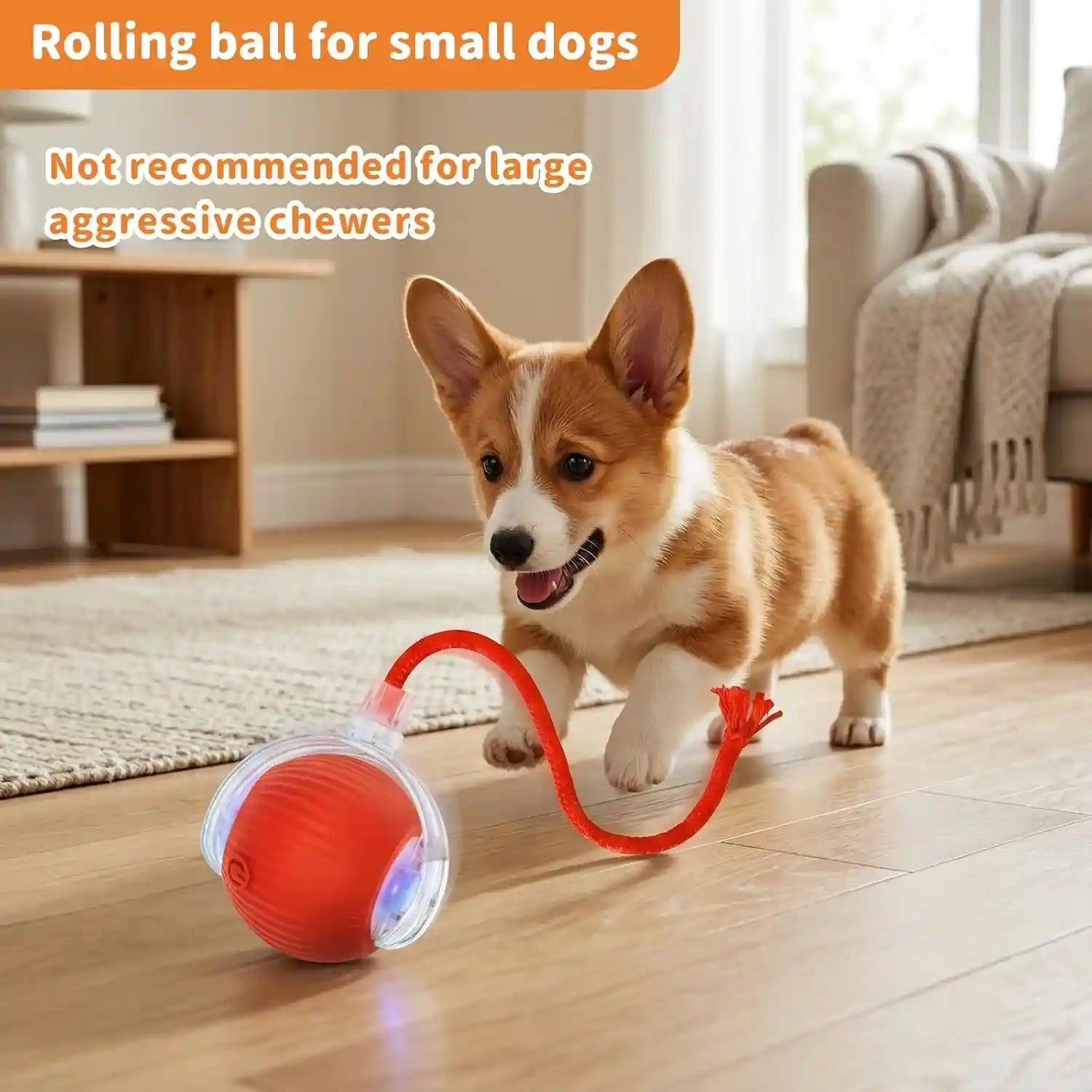 cat-toys-for-indoor-cats-smart-automatic-bal-moving-chase-dogs-toy-red-ball-rolling-for-bored-kitten-pet-upgraded-speedy-moving-chase-dogs-toy