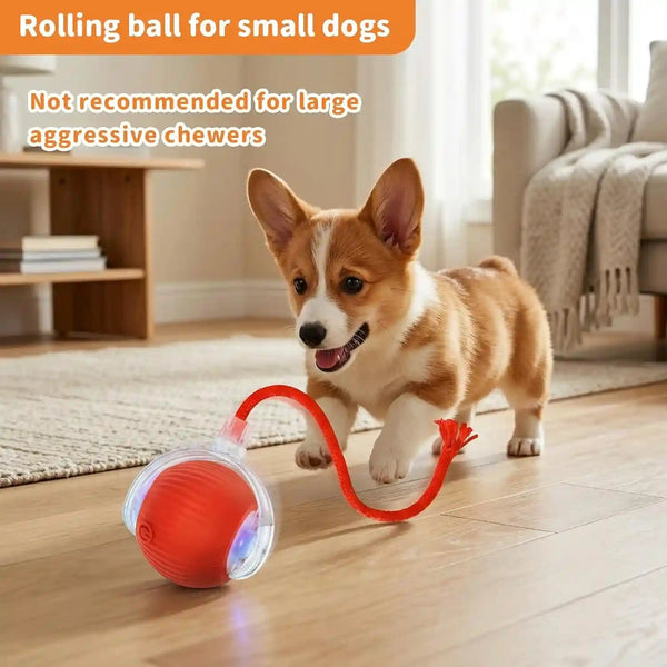 Cat Toys for Indoor Cats Smart Automatic Bal Moving Chase Dogs Toy, Red | Ball Rolling for Bored Kitten Pet, Upgraded Speedy Moving Chase Dogs Toy3