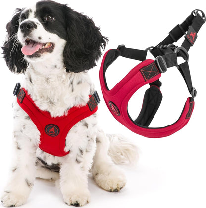 Gooby Escape Free Sport Harness - Red, Medium - No Choke Step-In Patented Neoprene Small Dog Harness with Four-Point Adjustment - Perfect on the Go Dog Harness for Medium Dogs No Pull and Small Dogs13