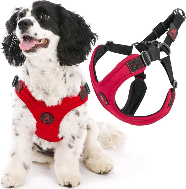 Gooby Escape Free Sport Harness - Red, Medium - No Choke Step-In Patented Neoprene Small Dog Harness with Four-Point Adjustment - Perfect on the Go Dog Harness for Medium Dogs No Pull and Small Dogs13