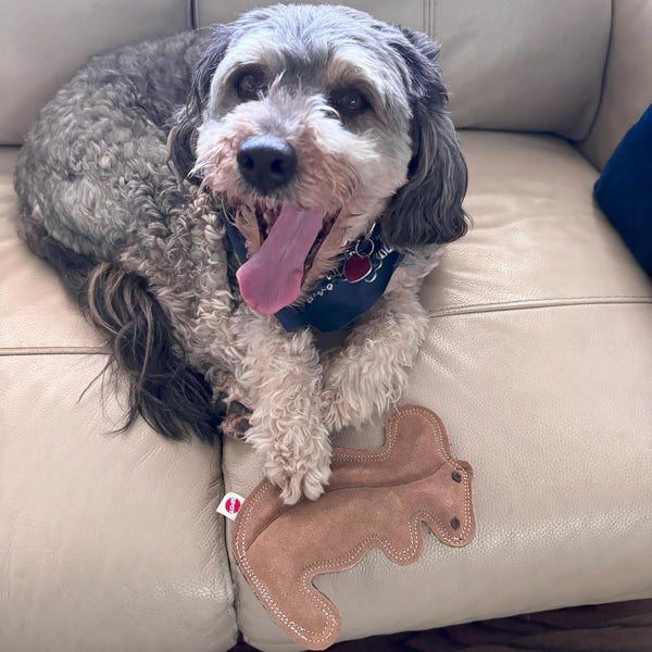 SPOT Dura-Fused Leather Squirrel Dog Toy – Real Leather & Jute Fabric, Double-Stitched & Durable, Soft Stuffed Squeaky Interactive Chew Toy for Moderate Chewers, Small & Medium Dogs, 8In8