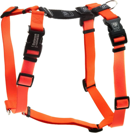Blue-9 Buckle-Neck Balance Harness, Fully Customizable Fit No-Pull Harness, Ideal for Dog Training and Obedience, Made in the USA, Sky Blue, Medium10