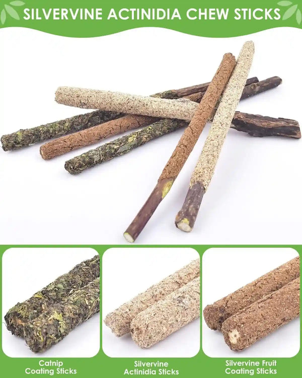 TINDTOP Silvervine Chew Sticks for Cats, 12 Pack Natural Catnip Chew Toys | for Kittens Teeth Cleaning, Matatabi Dental Care, Increase Appetite, Calm Cat Anxiety and Stress, Cat Dental Toy4