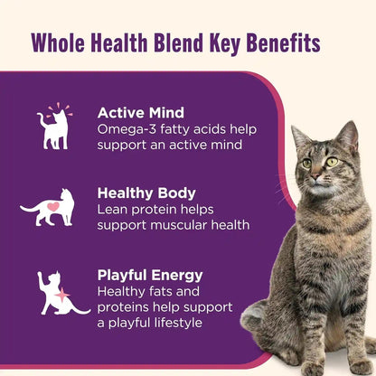 Nutrish Ocean Lover'S Wet Cat Food Variety Pack, 2.8 Oz. Cup (Rachael Ray) | Includes 12 Cups of Three Grain Free Recipes: Fisha-A-Licious, Chicken & Shrimp Pawttenesa and Tuna Purrfection7