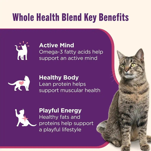 Nutrish Ocean Lover'S Wet Cat Food Variety Pack, 2.8 Oz. Cup (Rachael Ray) | Includes 12 Cups of Three Grain Free Recipes: Fisha-A-Licious, Chicken & Shrimp Pawttenesa and Tuna Purrfection7