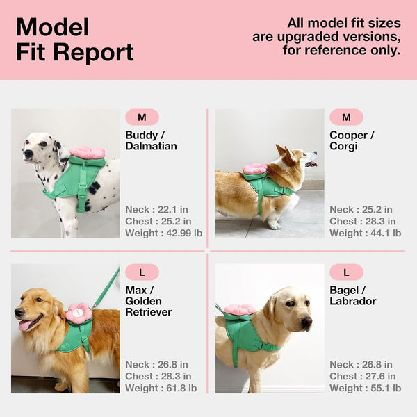VETRESKA Flora Dog Harness, Leash and Collar Set, No Pull Vest Harness, L | for Walking and Training, Adjustable, Easy Control and Soft Padded Pet Harness and Backpack for Small Medium Large Dogs5