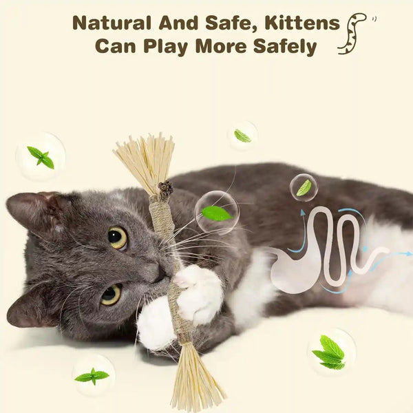 4 Pack Silvervine Sticks for Cats - Cat Chew Toy for Teeth Cleaning, Edible Matatabi Kitty Chew Sticks, Catnip Cat Toys for Indoor Cats (4 Sticks)3