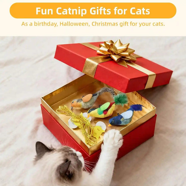 Tocirelo Interactive Cat Toys Bird - Realistic Cat Interactive Toys for Indoor Cats with Catnip and Feather, 3 Pack Hanging Chirping Bird Cat Toy, Bored Kitten Kicker Chase Exercise Door Frame Toy6