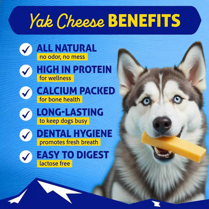 Himalayan Dog Chew, the Original Yak Cheese Dog Chews, 3 Large/Xl Yak Chews2