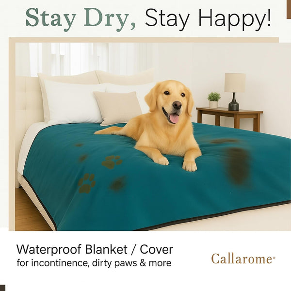 Waterproof Blanket for Bed & Couch Protection, Blue/Beige, 60"X80" | High-Density Heavy-Duty Material – Ultra-Soft & Durable Soft Fleece, Leakproof, Reversible, Silent No-Crinkle Design3
