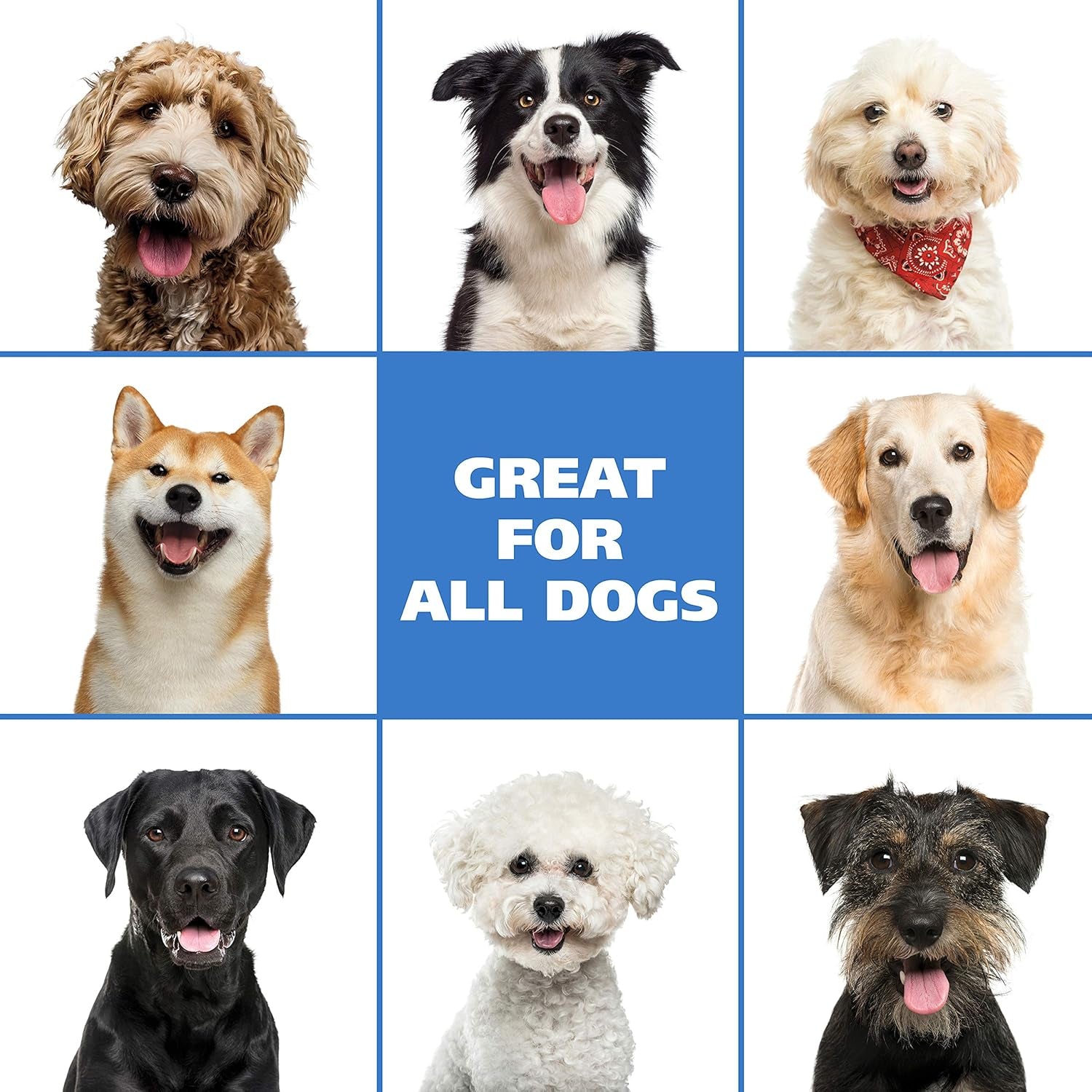 wahl-waterless-no-rinse-shampoo-for-animals-coconut-lime-verbena-7-1-oz-quick-clean-ups-for-dogs-no-bath-needed-oatmeal-formula-cleans-conditions-detangles-moisturizes-dogs-fur-model-820015a