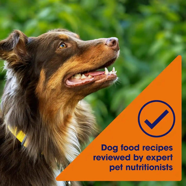 Nature′S Recipe Chicken, Barley & Brown Rice Recipe Dry Dog Food, 24 Lb. Bag5