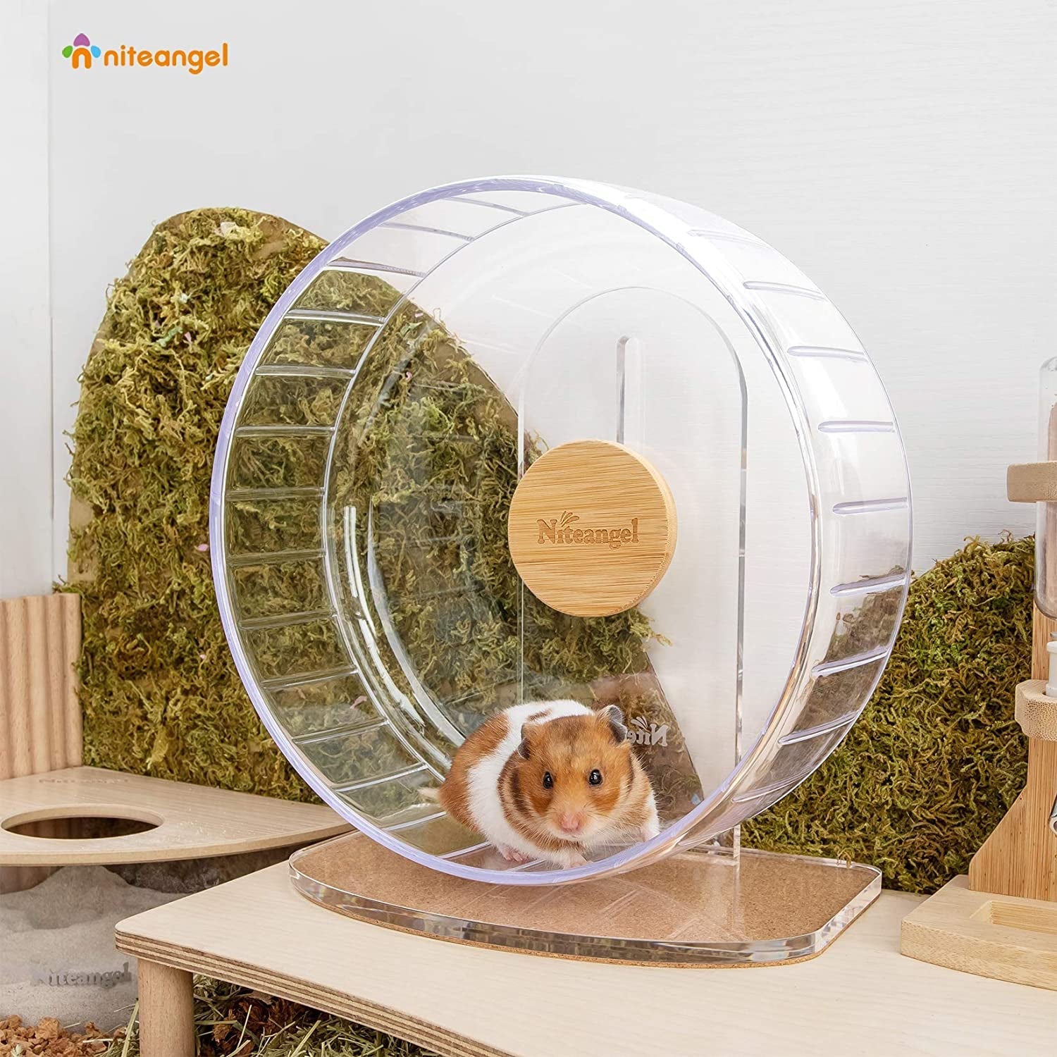 niteangel-super-silent-hamster-exercise-wheels-quiet-10-inch-running-wheel-can-10-6-13-4-adjustable-height-no-bend-back-spinner-running-for-dwarf-syrian-hamster-gerbils-mice-or-other-small-animal