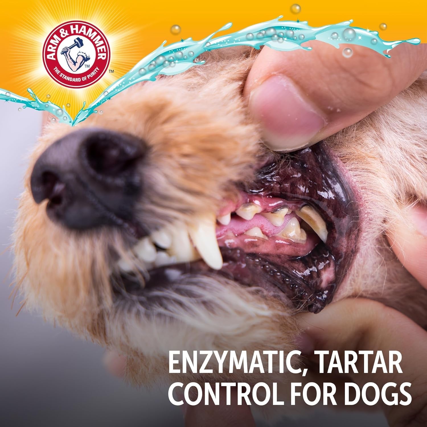arm-hammer-complete-care-enzymatic-dog-toothpaste-chicken-6-2-oz-fluoride-free-formula-with-baking-soda-and-calcium-fights-plaque-and-tartar-freshens-breath-value-size