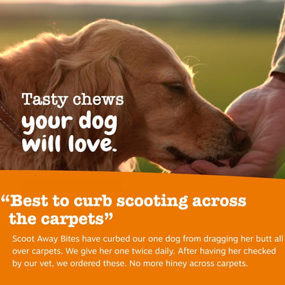 Zesty Paws Scoot Away Soft Chews - Healthy Bowel Function with Bromelain, Vita Fiber for Dogs, & Dandelion Root for Dog Digestive Support and Gut Health - 90 Soft Chews6