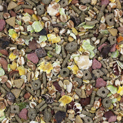 Vitakraft Vita Smart Rat Mouse and Gerbil Food 2 Lb Bag with Wholesome Daily Nutrition Premium Seeds Grains Vegetables Fruits Fortified with Essential Vitamins Minerals for Small Pet Health3