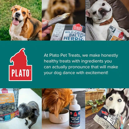 Plato Pet Treats Fish Dog Treats - Air-Dried, Single Ingredient Pet Treat - Omega 3 & 6 Fatty Acids to Support Skin and Coat - 100% Whole Fish - Wild Caught Baltic Herring - 3Oz - 2 Pack7