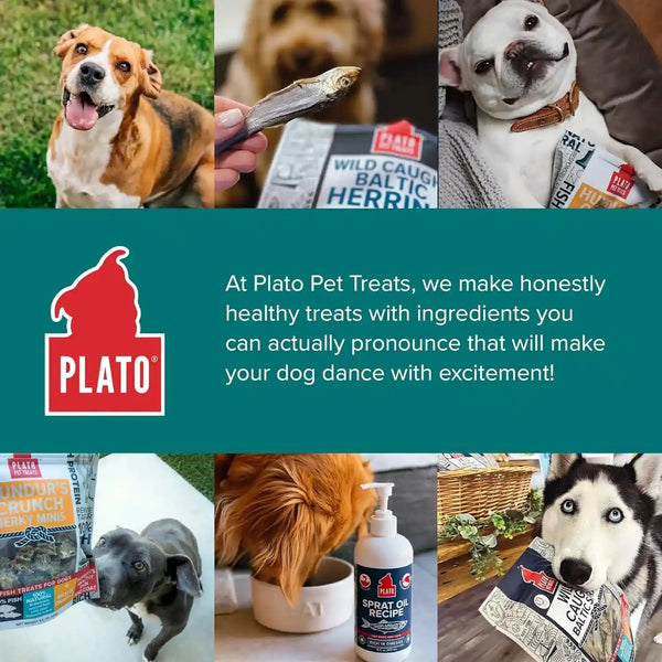 Plato Pet Treats Fish Dog Treats - Air-Dried, Single Ingredient Pet Treat - Omega 3 & 6 Fatty Acids to Support Skin and Coat - 100% Whole Fish - Wild Caught Baltic Herring - 3Oz - 2 Pack7