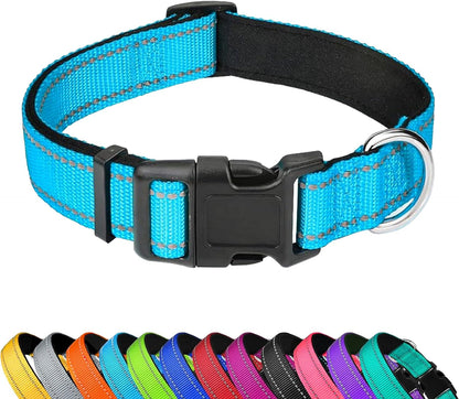 Reflective Dog Collar, Adjustable Soft Neoprene Padded,Teal,M | Breathable Nylon for Medium Dogs,Tear-Resistant Webbing,Chafe‑Free on Walks and Hikes,Metal D-Ring,Night Safety10