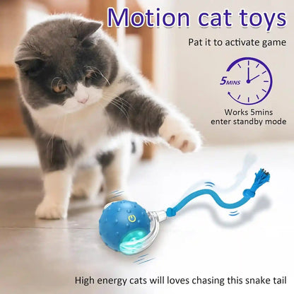 Giociv Interactive Cat Toys Ball for Indoor Cats Fast Rolling on Carpet, Chirping & Motion Activate Cat Toys (Blue)3