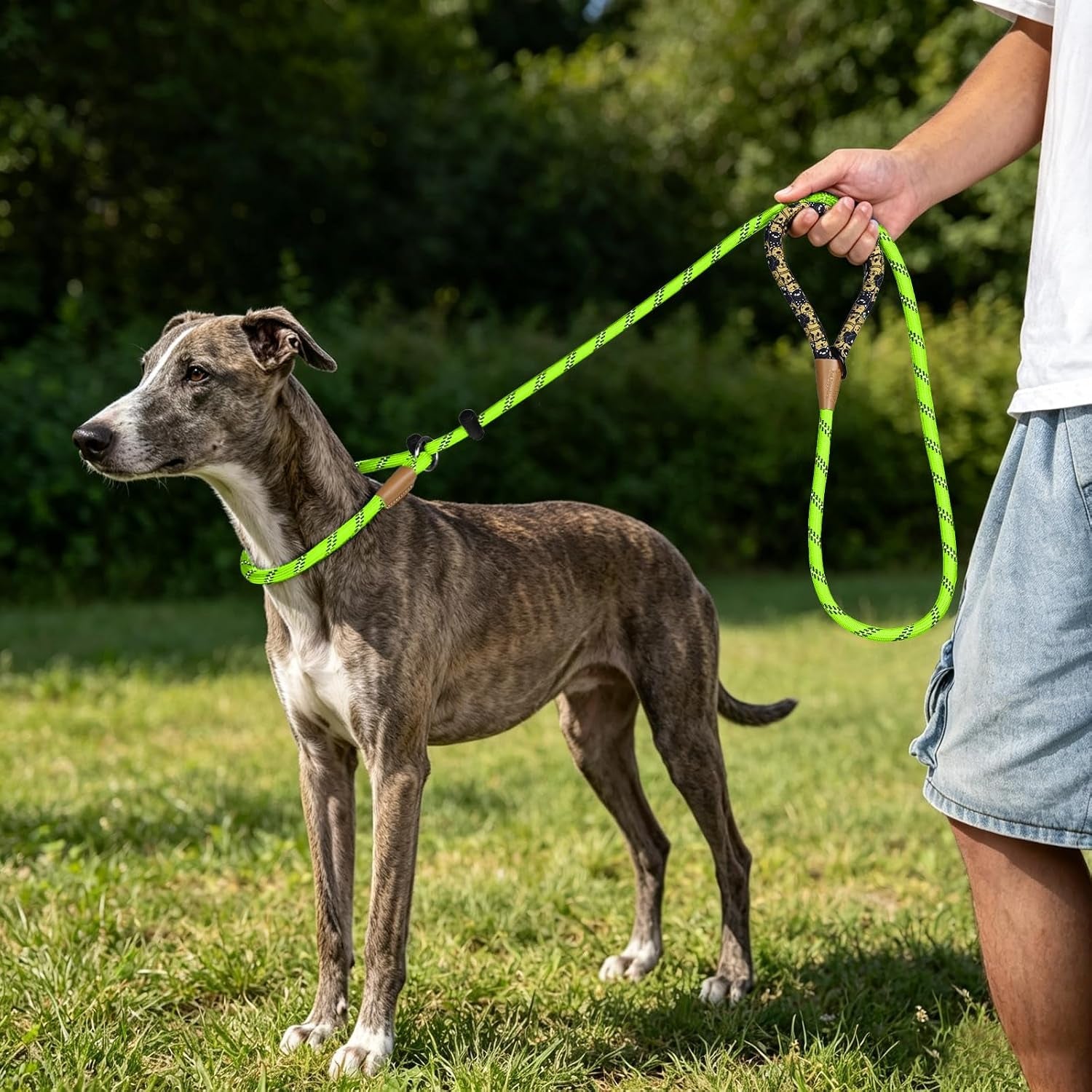 lynxking-slip-lead-dog-leash-reflective-heavy-duty-comfortable-strong-rope-for-large-medium-small-dogs-no-pull-pet-training-light-green-large-1-2in-x-6ft-slip-lead