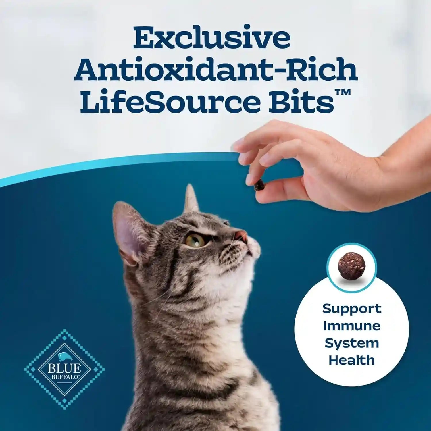 blue-buffalo-tastefuls-active-cat-dry-cat-food-made-in-the-usa-with-natural-ingredients-chicken-brown-rice-recipe-3-lb-resealable-bag