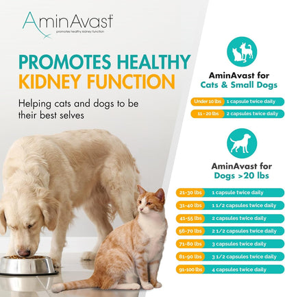 Aminavast 300Mg Kidney Support for Cats & Small Dogs, 60 Sprinkle Capsules | Feed Directly or Open Capsules & Mix with Food, Amino Acid and Peptide Blend for Cats and Small Dogs up to 20Lb9
