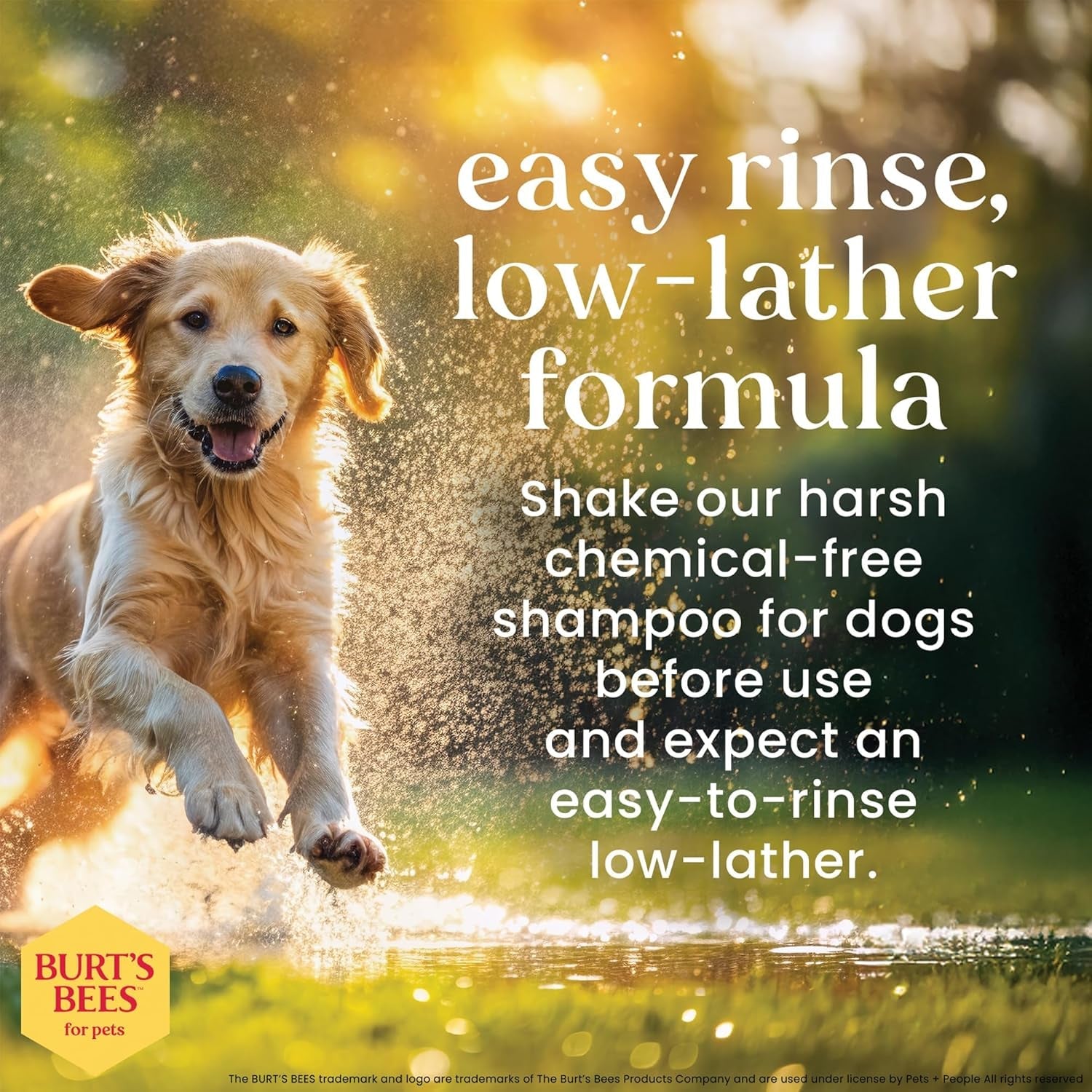 burts-bees-for-pets-oatmeal-dog-shampoo-with-honey-unscented-16-fl-oz-soothing-colloidal-oat-flour-formula-for-itchy-sensitive-dog-skin-ph-balanced-and-sulfate-free-for-regular-use