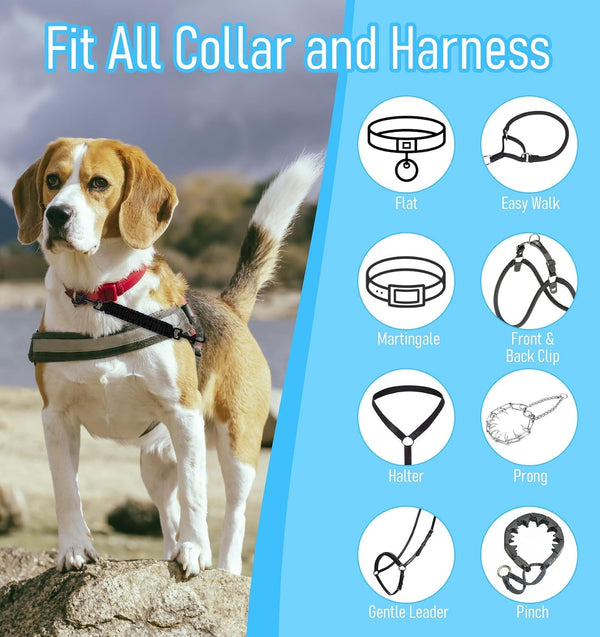 Prong Collar for Dogs, Pinch Collar for Dogs with Double-Ended Clasp | Handmade, Secure Connector, for Prongs Pinch Collars Leash Harness Accessories, Black6