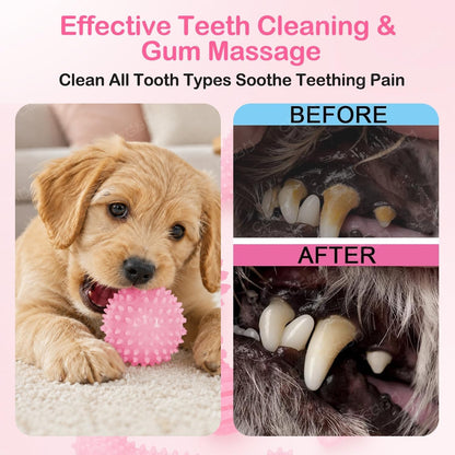 Puppy Toys, 6 Pack Dog Chew Toys for Puppy, Cute Pink Small Dog Toys, Puppy Teething Toys for Puppies, Soft Durable Interactive Chew Toy for Small Dogs4