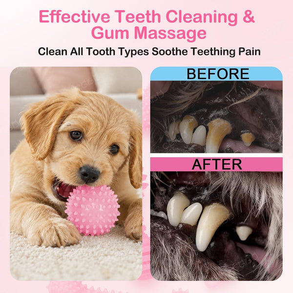Puppy Toys, 6 Pack Dog Chew Toys for Puppy, Cute Pink Small Dog Toys, Puppy Teething Toys for Puppies, Soft Durable Interactive Chew Toy for Small Dogs4