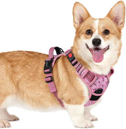 Rabbitgoo Dog Harness Medium Sized, Updated Easy on & off with 3 Buckles | No Pull No Choke, Walking with 2 Clips and Handle, Adjustable Soft Reflective, Blue, Medium64