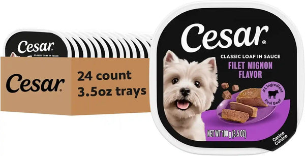 Cesar Classic Loaf in Sauce Wet Dog Food, Filet Mignon, 3.5 Oz, 24 Count | Made in USA, Real Beef #1 Ingredient, No Fillers/Added Sugar/Artificial Flavors, Use as Meal or Topper, Easy Peel Trays1