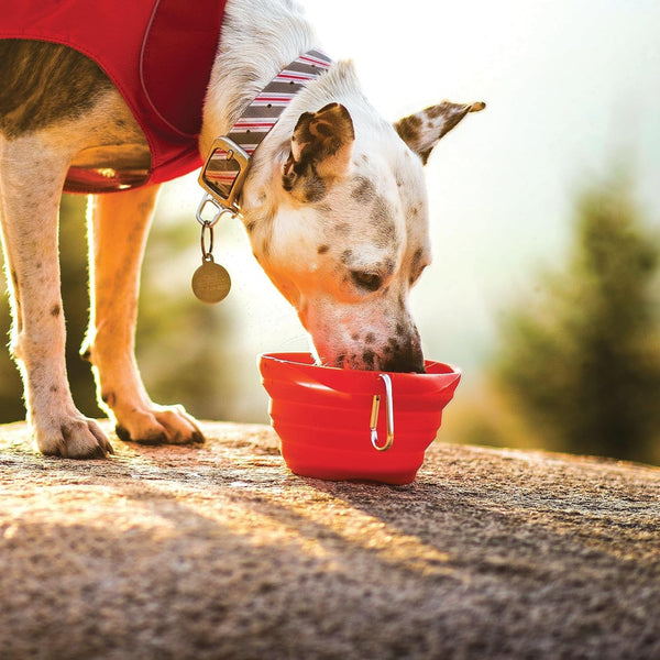 Kurgo Collaps-A-Bowl, Barn Red | Collapsible Travel Dog Bowl, Holds up to 24Oz, Food-Grade Silicone, PVC & Bpa-Free, Dishwasher Safe, Includes Carabiner Clip3
