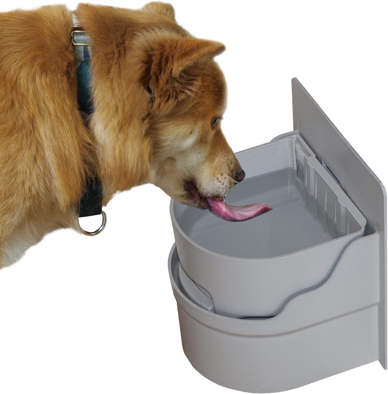 perpetual-well-automatic-pet-water-bowl-wall-mount