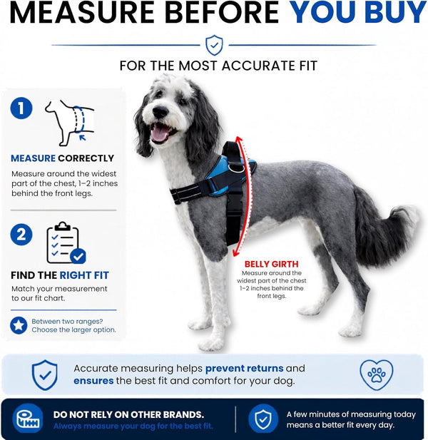 Shawnco Essential Dog Harness, No-Pull Pet Vest with 3 Leash Clips, No Choke, Reflective, Adjustable and Padded, for Easy Walking and Training for Small, Medium and Large Dogs (Oceanic Blue, S)6
