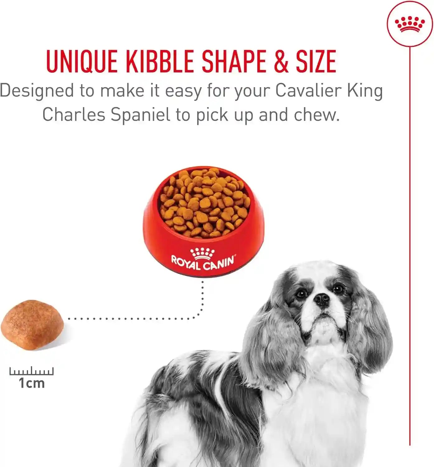 royal-canin-breed-health-nutrition-cavalier-king-charles-spaniel-adult-dry-dog-food-10-lb-bag-specialized-kibble-shape-supports-heart-health-formulated-for-breed-specific-needs-10-lb-resealable-bag