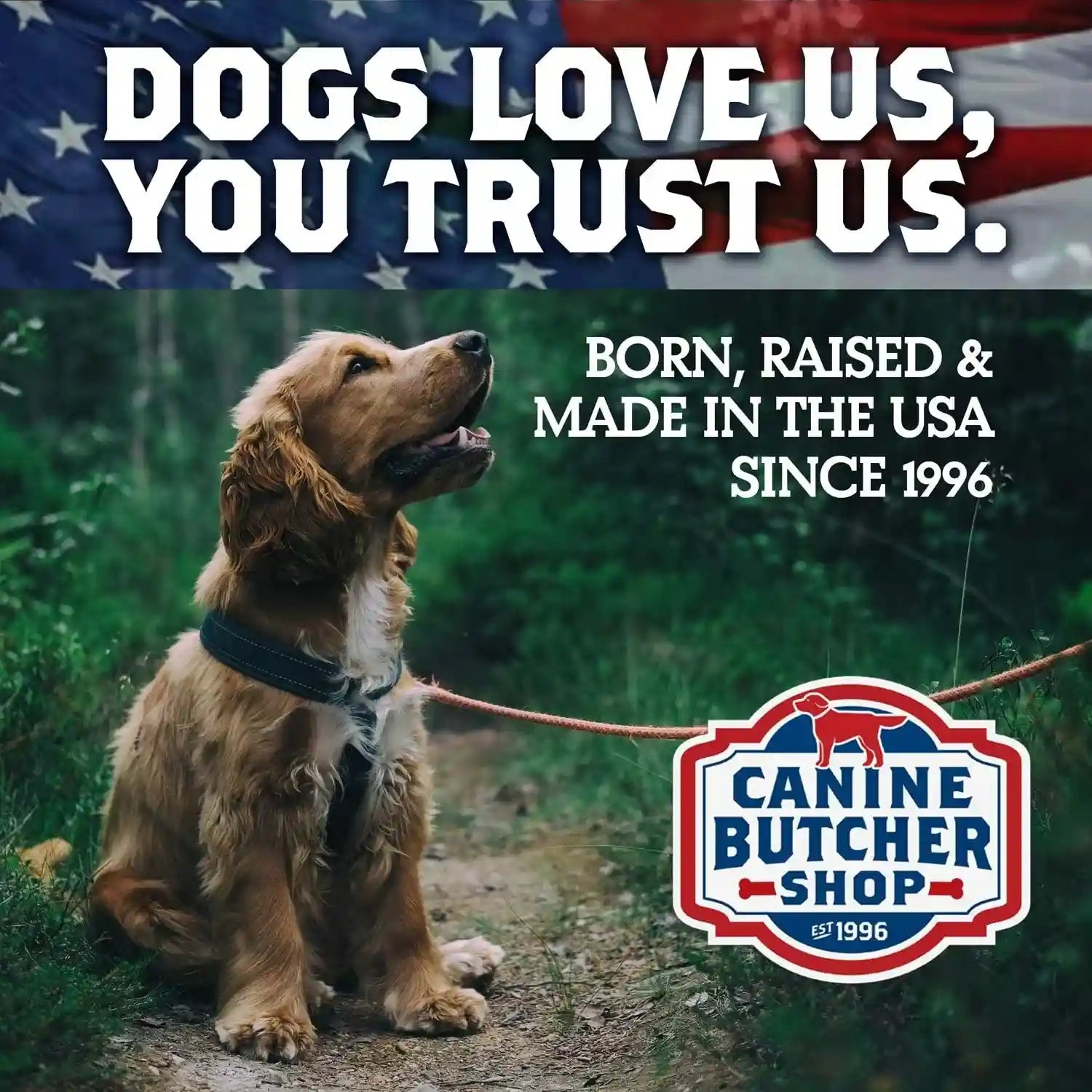 pig-ears-for-dogs-always-usa-made-30-pack-all-natural-sourced-in-usa-pig-ears-digestible-pork-dog-chew-treat-slow-cooked-dried-for-aggressive-chewers-supports-dental-health-satisfies-natural-chewing-instinct-made-in-the-usa