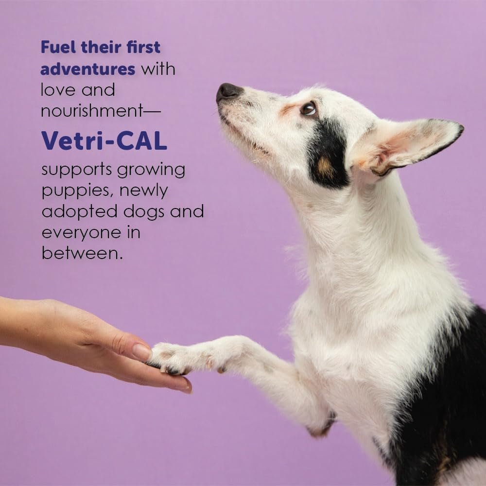 high-calorie-nutritional-gel-for-dogs-cats-puppies-kittens-appetite-booster-with-omega-3-6-9-vitamins-a-d-e-b-recovery-energy-support-tasty-malt-flavor-5-oz-tube
