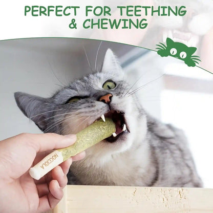 Nocciola 3 Pack Catnip Toys for Cats, Funny Cat Toys Filled with 100% Pure Organic Catnip, Safe Kitten Teething Chew and Kicker Toys, Stress Relieving Fun for Indoor Cats5