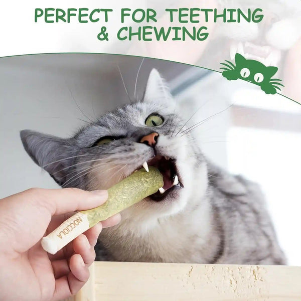Nocciola 3 Pack Catnip Toys for Cats, Funny Cat Toys Filled with 100% Pure Organic Catnip, Safe Kitten Teething Chew and Kicker Toys, Stress Relieving Fun for Indoor Cats5