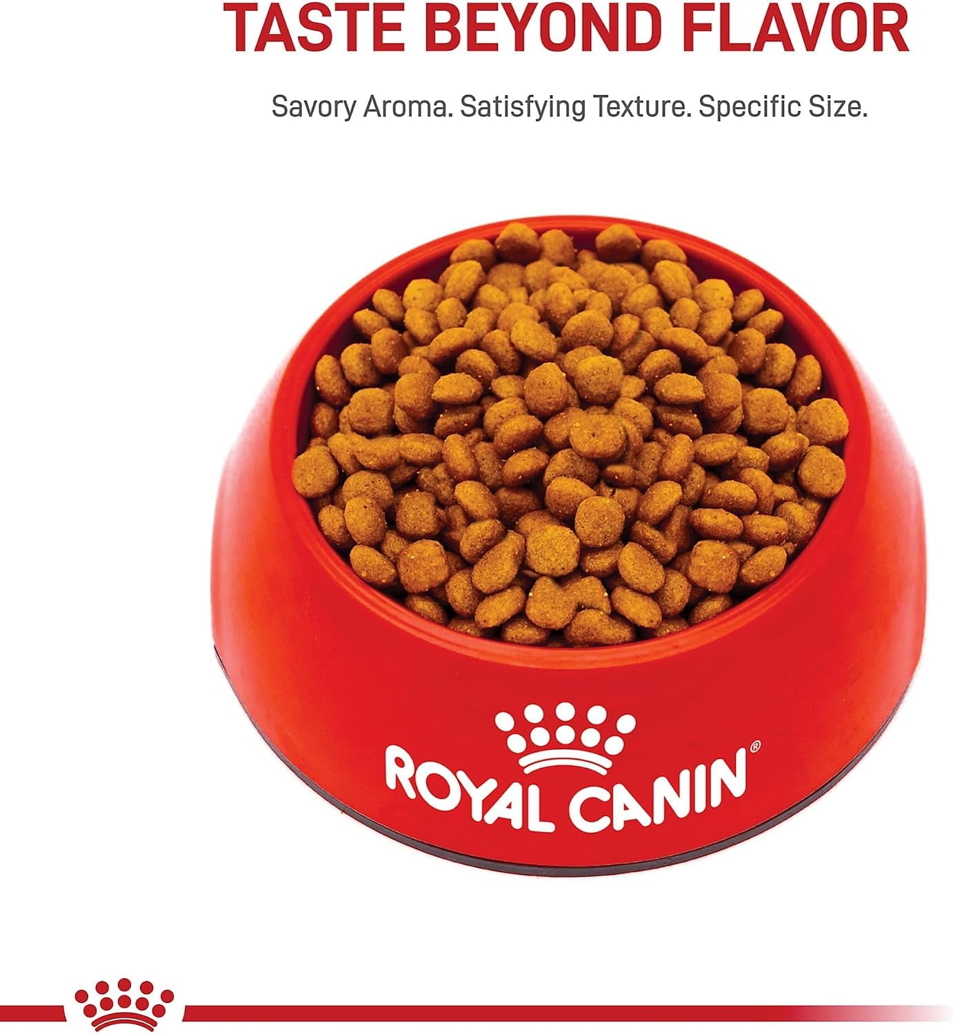 royal-canin-breed-health-nutrition-miniature-schnauzer-puppy-dry-dog-food-2-5-lb-bag