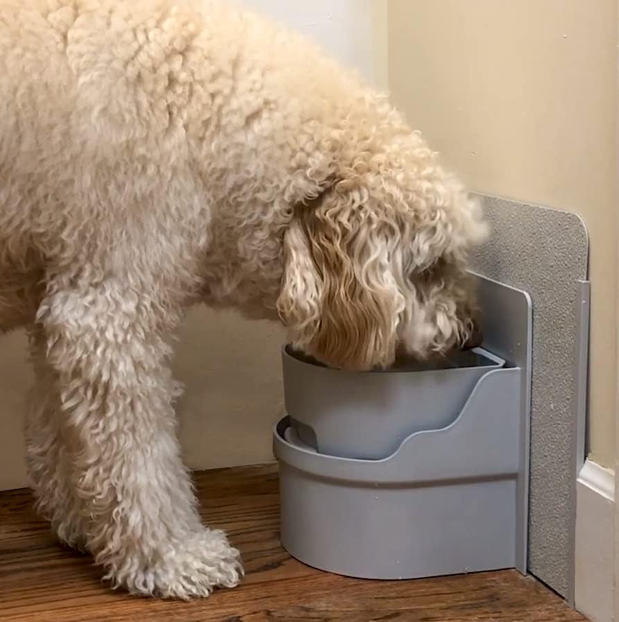 perpetual-well-automatic-pet-water-bowl-wall-mount