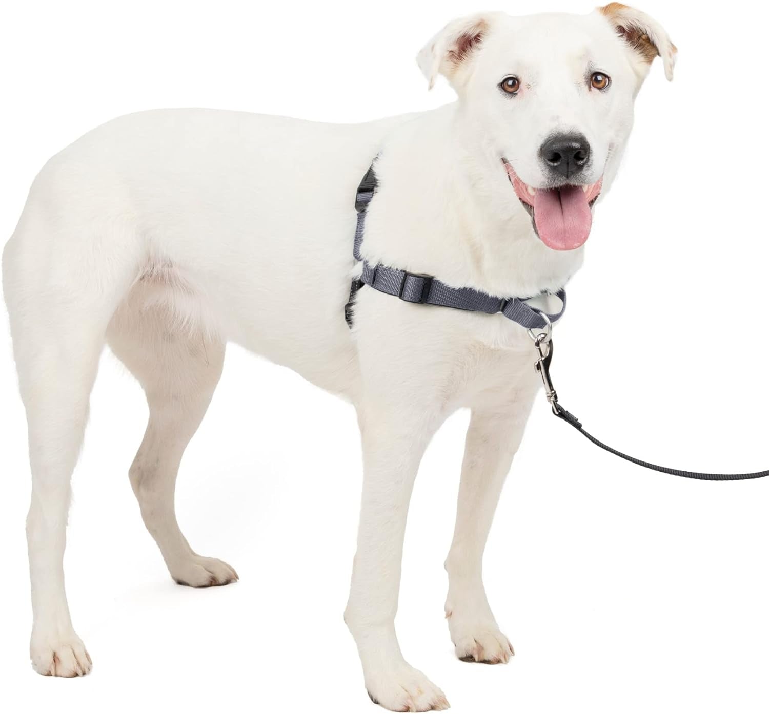 petsafe-easy-walk-deluxe-dog-harness-no-pull-dog-harness-perfect-for-leash-harness-training-stops-pets-from-pulling-and-choking-on-walks-medium-ocean